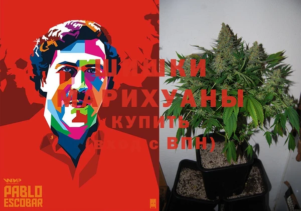 гидра Киренск