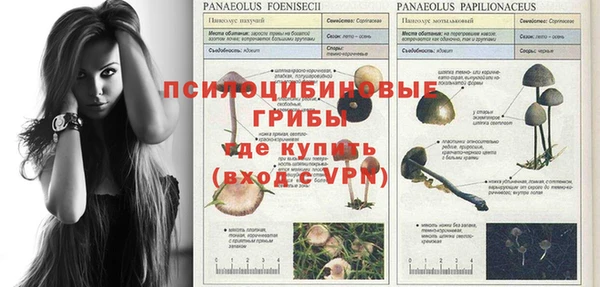 марки nbome Киреевск
