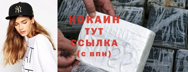 гидра Киренск