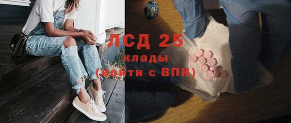 гидра Киренск